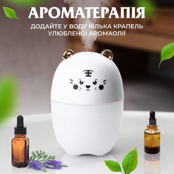 Зволожувач повітря Bear USB Humidifier 220ml міні зволожувач повітря 2072892716 фото