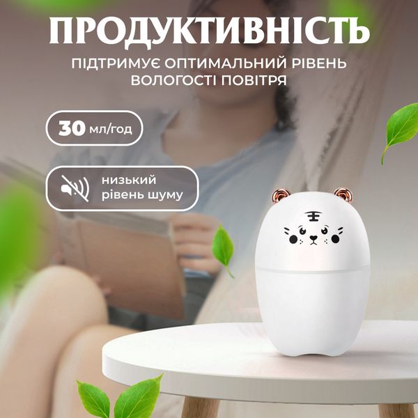 Зволожувач повітря Bear USB Humidifier 220ml міні зволожувач повітря 2072892716 фото