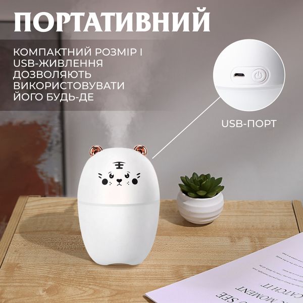 Зволожувач повітря Bear USB Humidifier 220ml міні зволожувач повітря 2072892716 фото