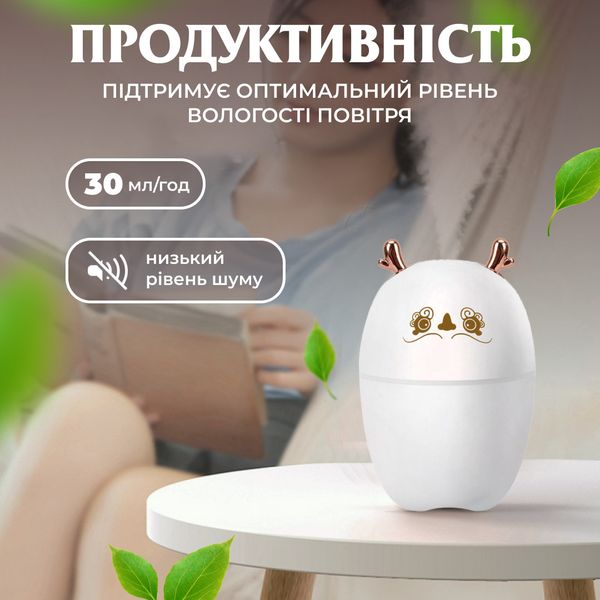 Зволожувач повітря Deer USB Humidifier 220ml міні зволожувач повітря 2073007707 фото