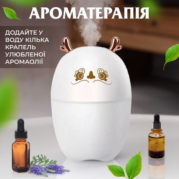 Зволожувач повітря Deer USB Humidifier 220ml міні зволожувач повітря 2073007707 фото