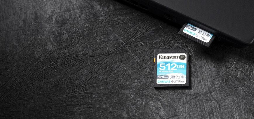 SDXC (UHS-1 U3) Kingston Canvas Go Plus 512Gb Class 10 V30 (R170MB/s, W90MB/s) (SDG3/512GB) 11165 фото