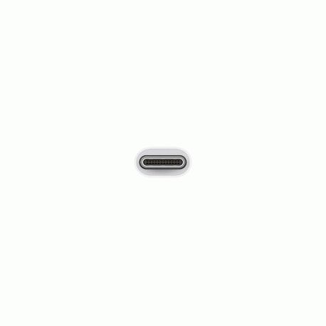 Перехідник USB-C до USB Adapter (MJ1M2AM/A) 00000000923 фото