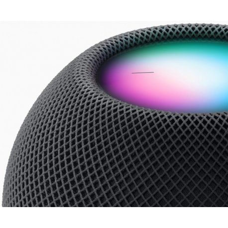 Apple HomePod Mini Space Gray (MY5G2) 00000030224 фото