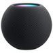 Apple HomePod Mini Space Gray (MY5G2) 00000030224 фото 1