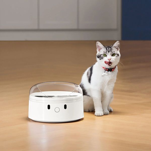 Набір міток CATLINK для Smart Feeder (2 нашийники для кішок і 2 теги UFO) UFO Tag set (2*collar+2*Tag) (6972884750217) 53579 фото