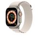 Ремінець Alpine Loop Band для Apple Watch 49mm Starlight - Medium (MQE63) 00000039721 фото 2