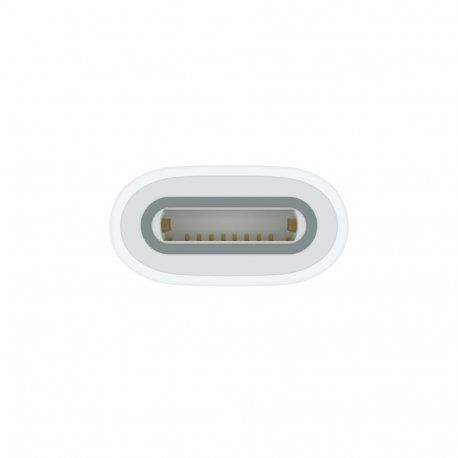 Адаптер Apple USB-C до Apple Pencil Adapter (MQLU3) 00000039674 фото