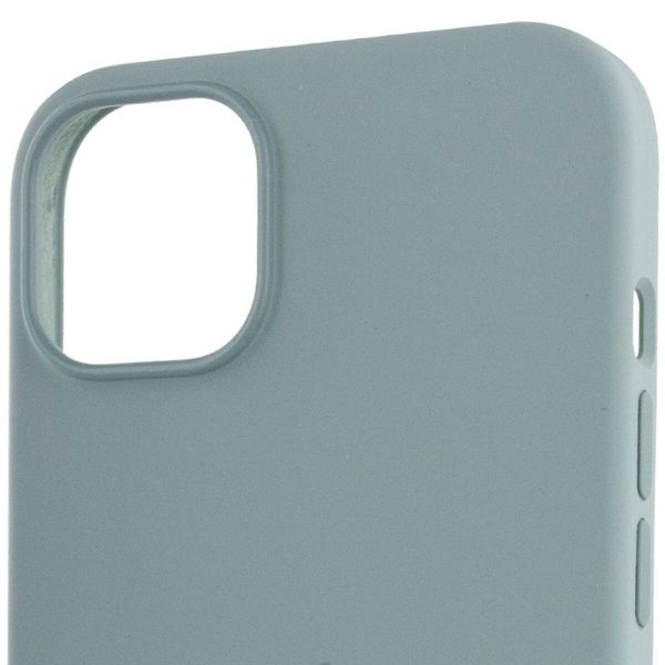 Чехол для смартфона Silicone Full Case AAA MagSafe IC для iPhone 14 Succulent (Orig14Succulent) 47210 фото