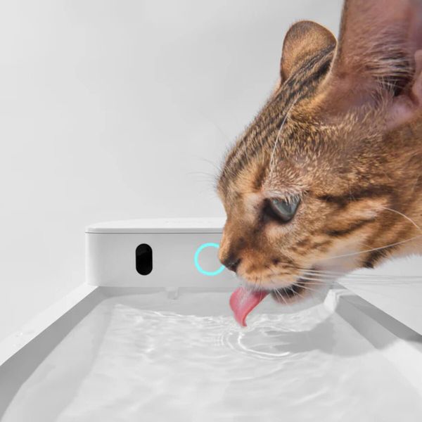 Поїлка CATLINK AI Water Fountain - Wireless (6972884750873) 53584 фото