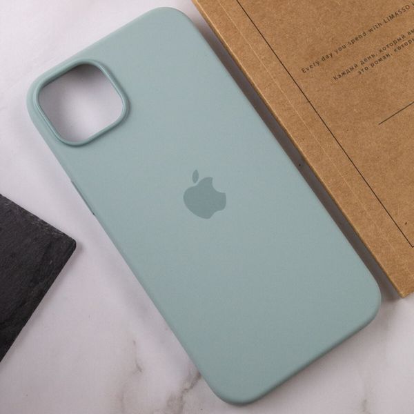 Чехол для смартфона Silicone Full Case AAA MagSafe IC для iPhone 14 Succulent (Orig14Succulent) 47210 фото