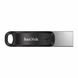 Flash SanDisk USB 3.0 iXpand Go 128Gb Lightning Apple (SDIX60N-128G-GN6NE) 12309 фото 2