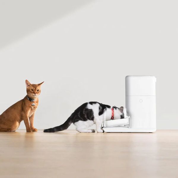 Смарт годівниця CATLINK Automatic Feeder Fresh 2 - Standard (6972884750941) 53587 фото