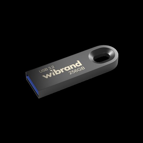 Flash Wibrand USB 3.2 Gen1 Eagle 256GB Grey (WI3.2/EA256U10G) 53560 фото