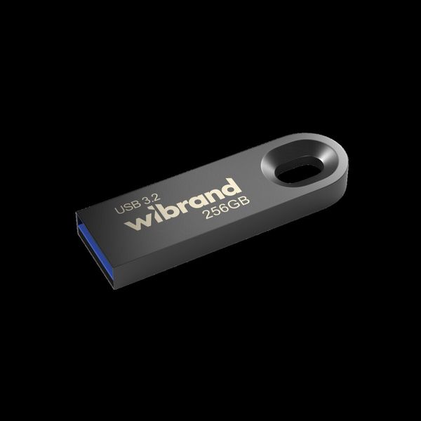 Flash Wibrand USB 3.2 Gen1 Eagle 256GB Grey (WI3.2/EA256U10G) 53560 фото