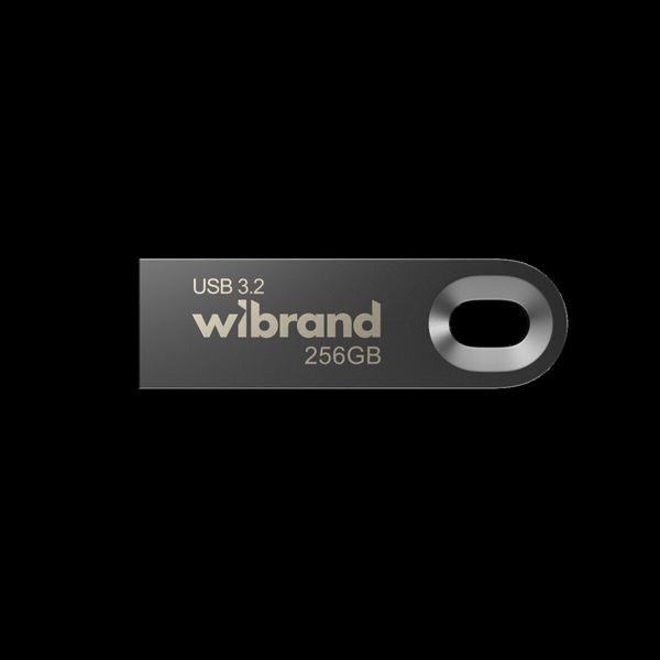 Flash Wibrand USB 3.2 Gen1 Eagle 256GB Grey (WI3.2/EA256U10G) 53560 фото