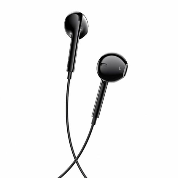 Наушники BOROFONE BM60 Type-C Original Series Digital Earphones Black (BM60B) 13781 фото